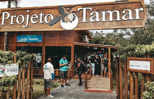 Visita histórica e panorâmica da cidade mais Praia do Forte e Ilha dos Frades - Tour de 3 días - Foto 7